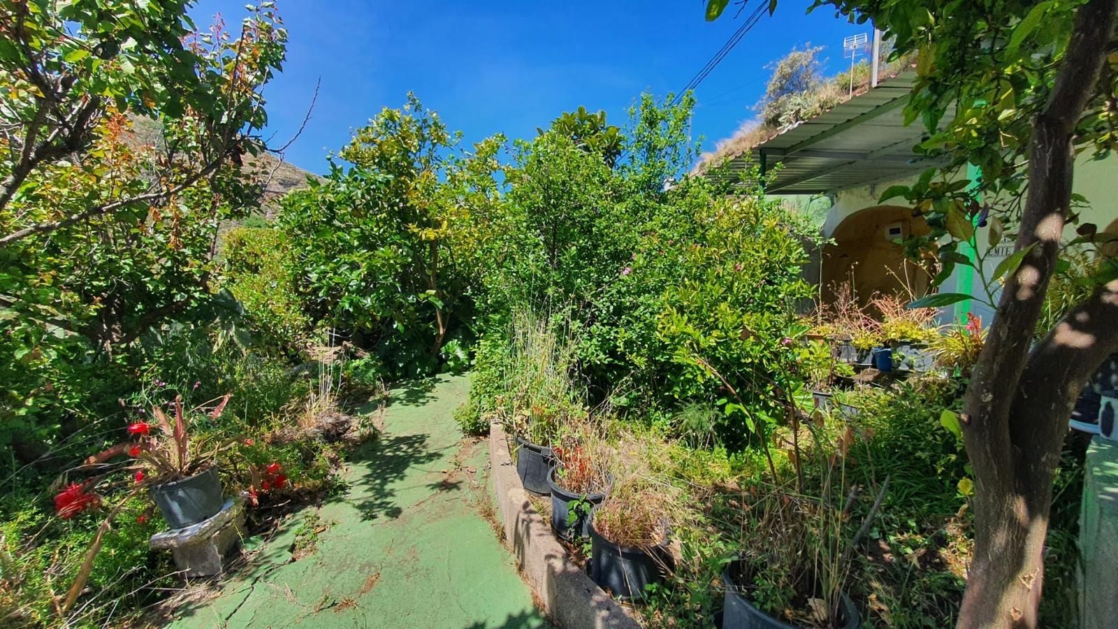 Garden of Country house for sale in Santa María de Guía de Gran Canaria