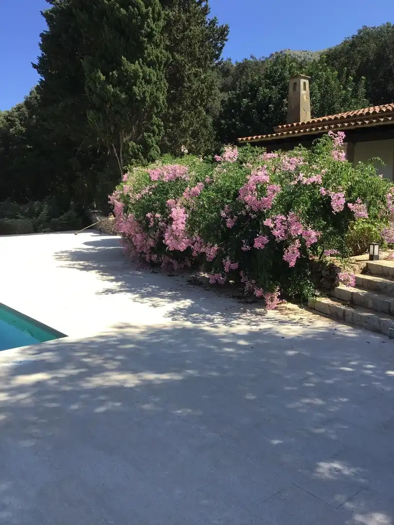Vista exterior de Finca rústica en venta en Pollença con Aire acondicionado, Calefacción y Jardín privado