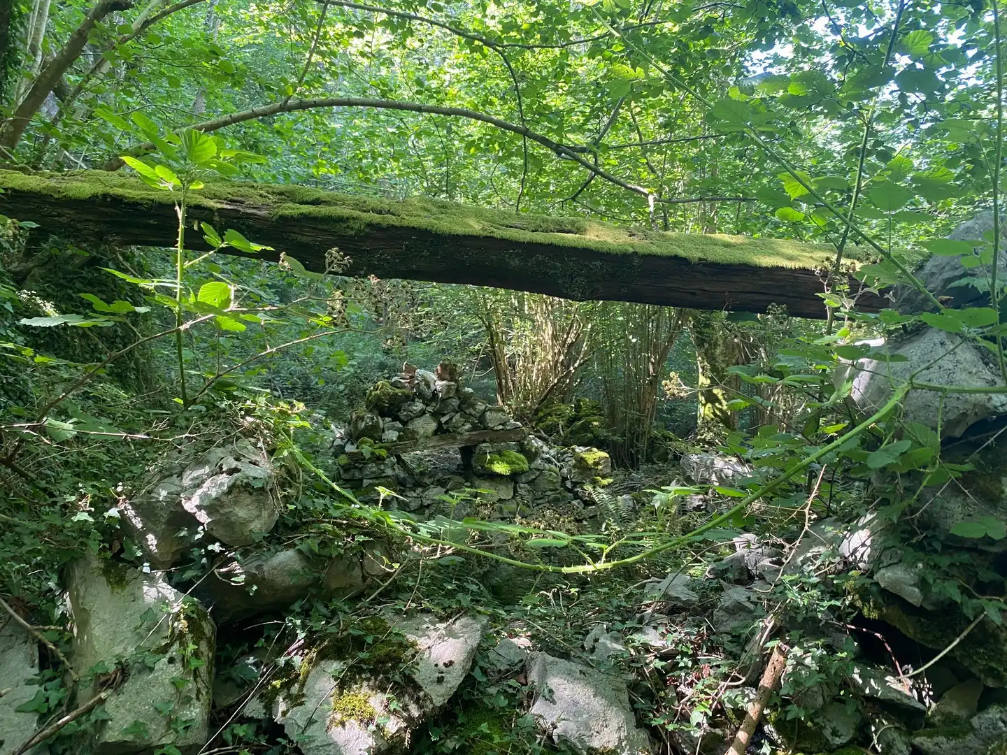Terreno rustico in vendita a SEGÜENCO, imagen 21