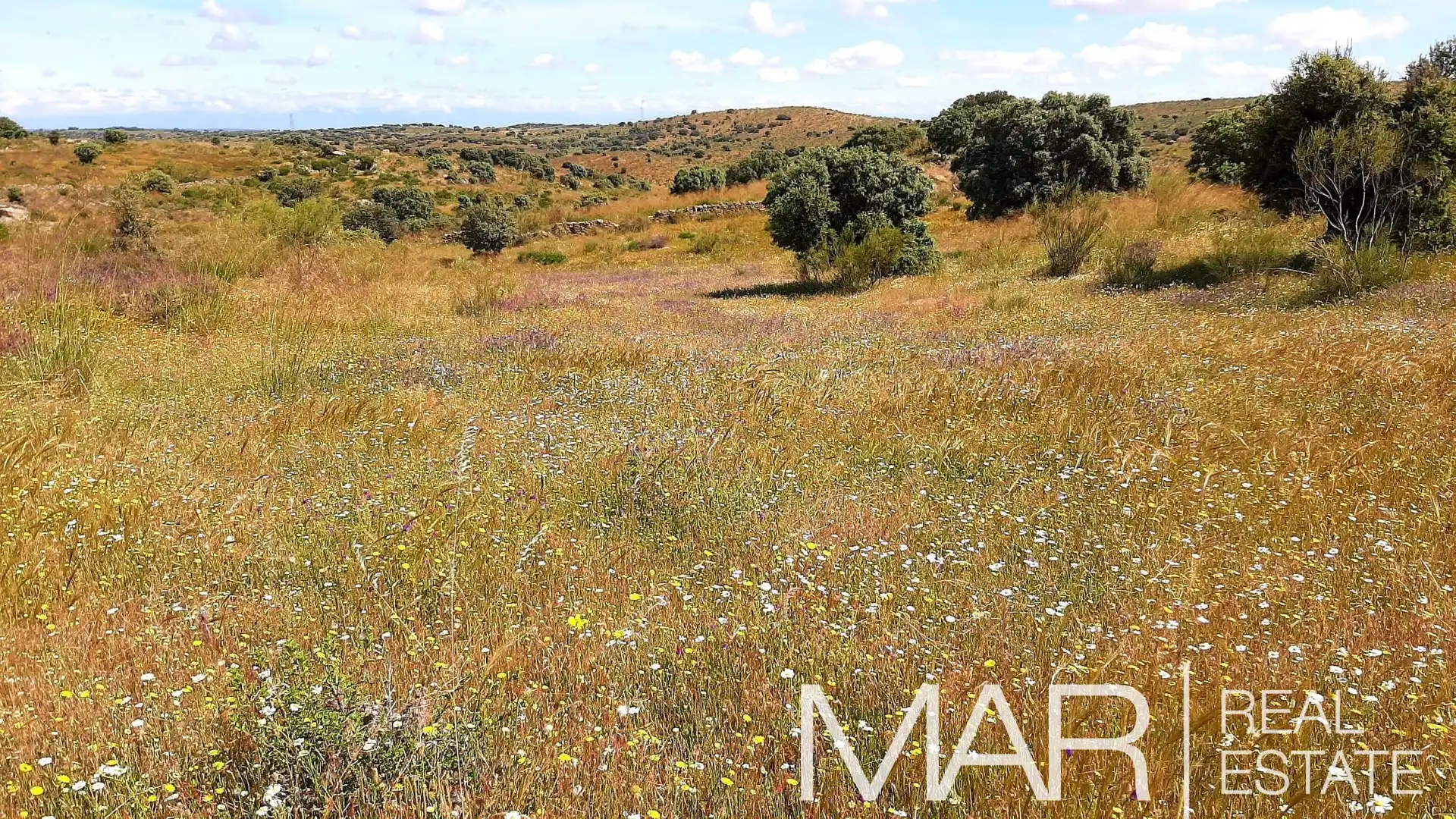 Terreni e lotti in vendita a Villar del Pedroso, imagen 15