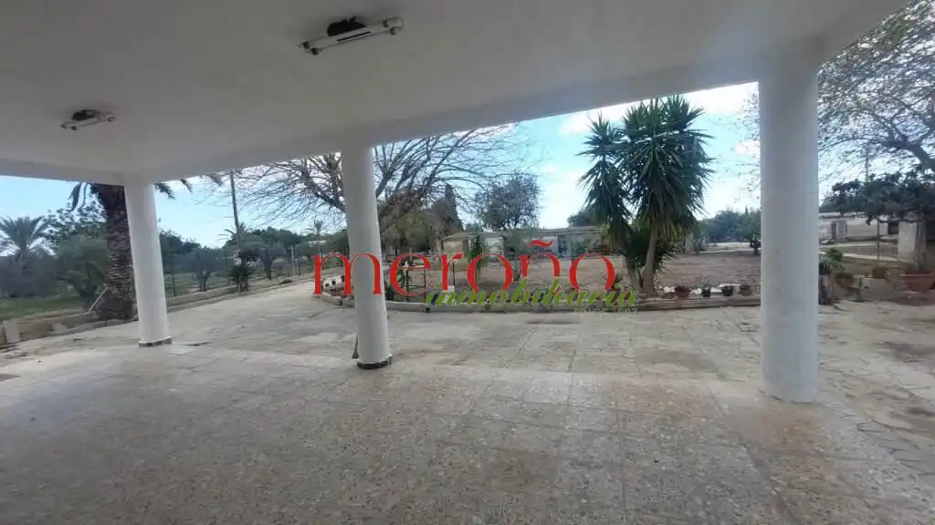 Vista exterior de Casa o chalet en venta en Elche / Elx