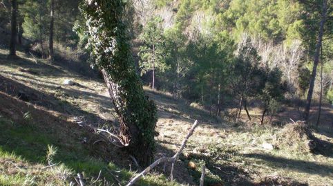 Solar en venta, immagine 2