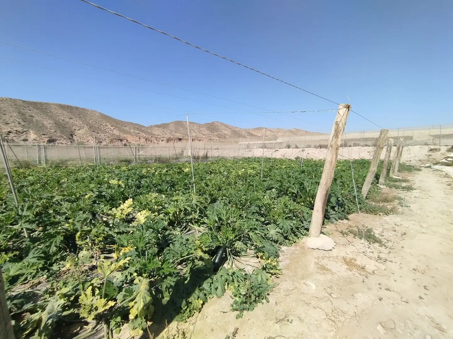 Terreno rustico in vendita a Santa Fe de Mondújar, imagen 33