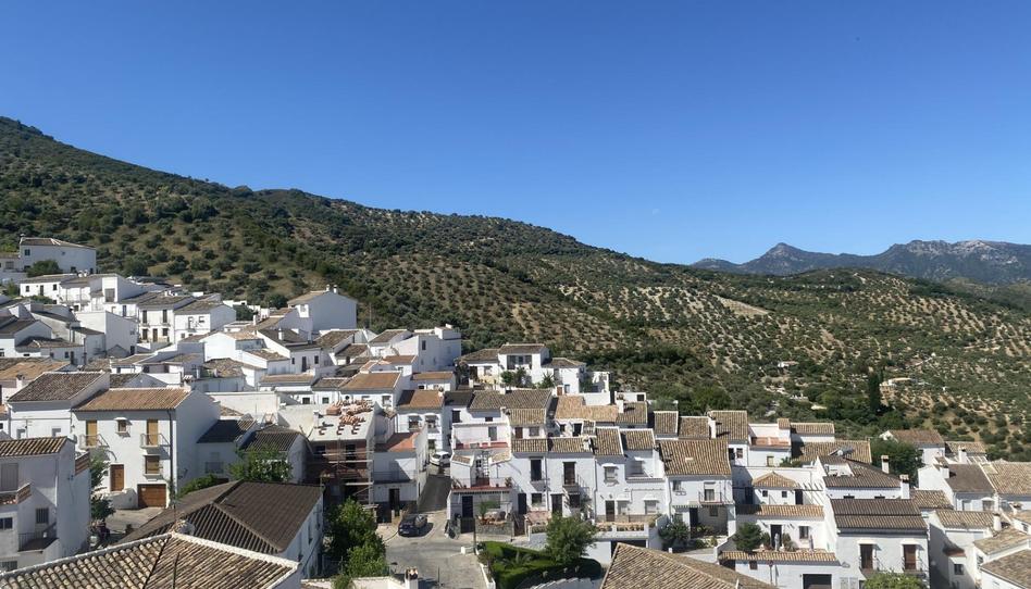 Foto 1 de Casa adosada en venta en Zahara, Cádiz