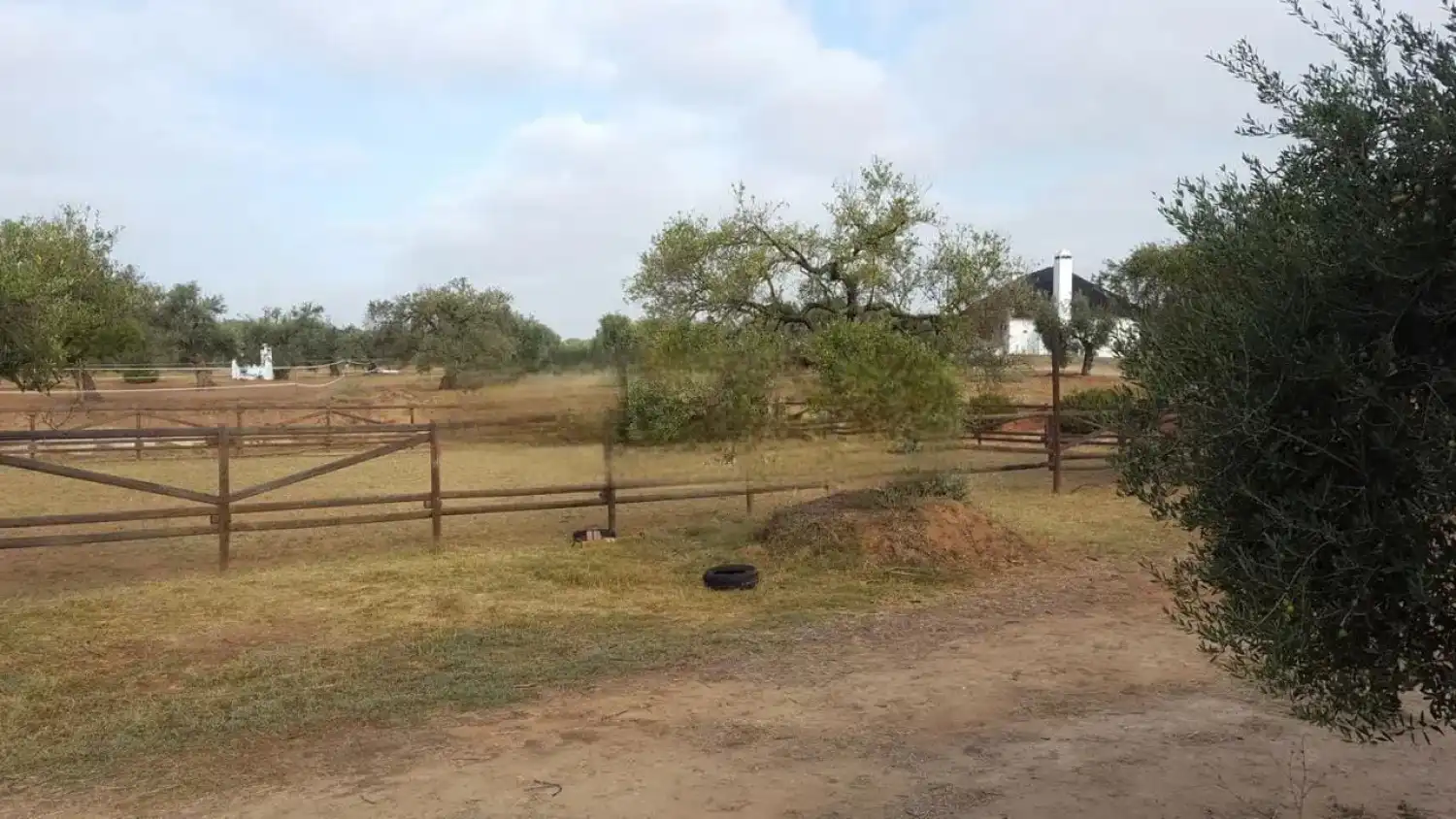 Finca rústica en venda en Villamanrique de la Condesa amb Jardí privat i Traster