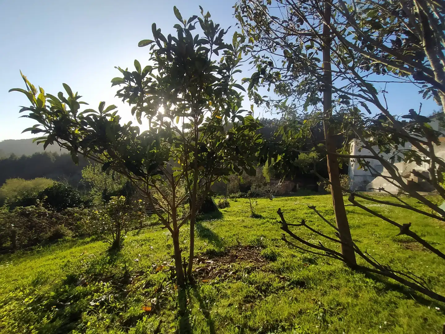 Houses for sale in Cariño  with Private garden, Parquet flooring and Terrace
