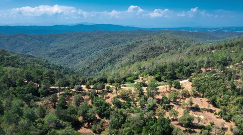 Foto 3 de Finca rústica en venda a N/a, -1, Mas Pere - Río de Oro, Calonge i Sant Antoni