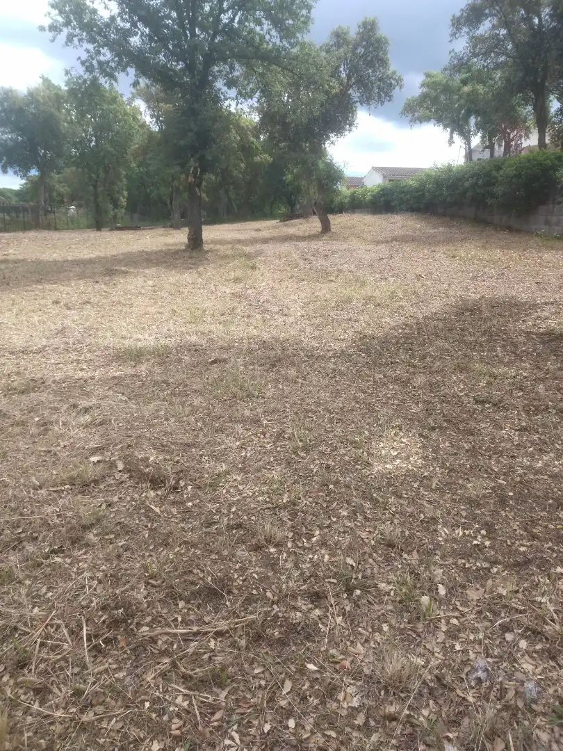 Residential land for sale in Avinguda d'Espanya 39, imagen 3