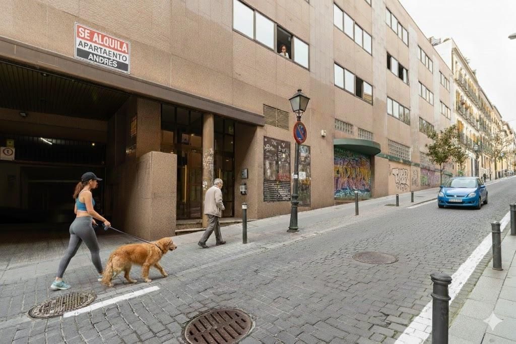 Wohnung zur Miete in Calle SAN VICENTE FERRER, 60, Universidad - Malasaña, Centro