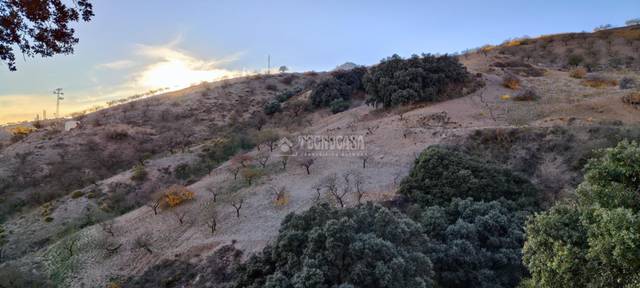 Terreno en Venta en Albondón