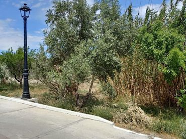 Terreny residencial en venda a Tíjola