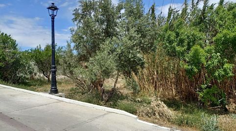 LÚCAR  ALMERÍA , TERRENO URBANO CON AGUA .