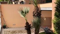 Garden of House or chalet to rent in Alicante / Alacant  with Air Conditioner and Terrace