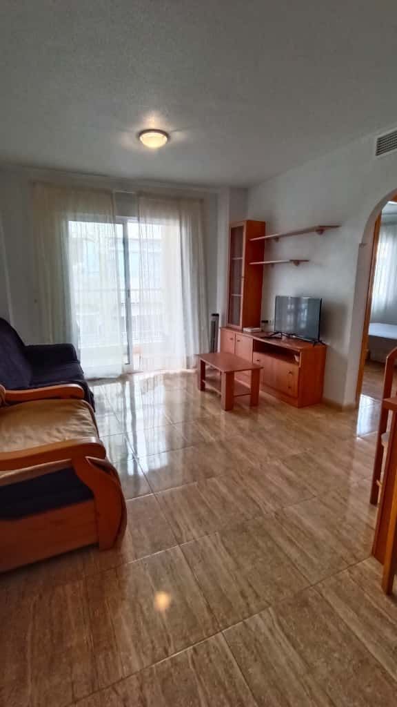 Living room of Flat to rent in Torrevieja  with Terrace, Furnished and Pets allowed