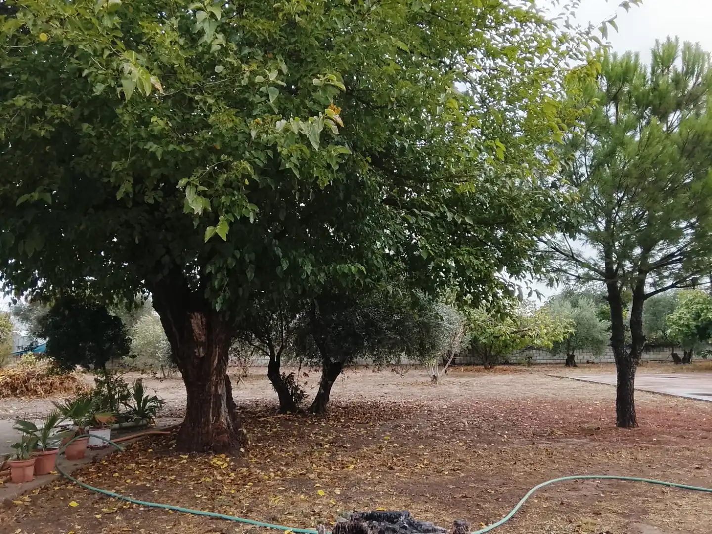 Finca rústica en venda en Córdoba amb Aire condicionat, Calefacció i Jardí privat