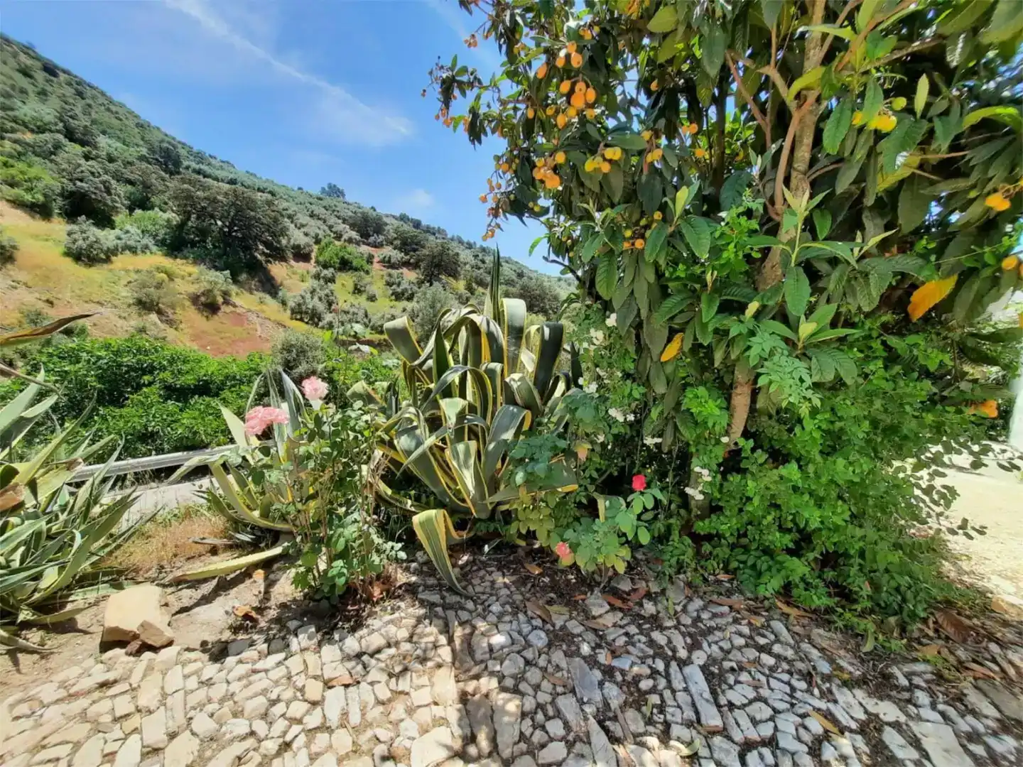 Jardí de Finca rústica en venda en Iznájar amb Aire condicionat, Piscina i Balcó