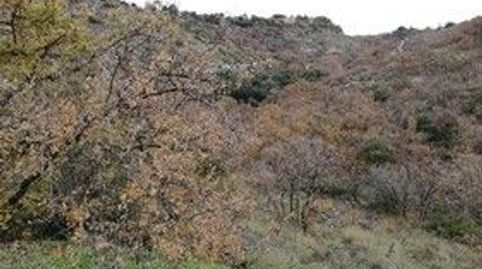 Photo 5 of Residential for sale in Calle Fresno, Urb. el Robledal, El Robledal, Villalbilla