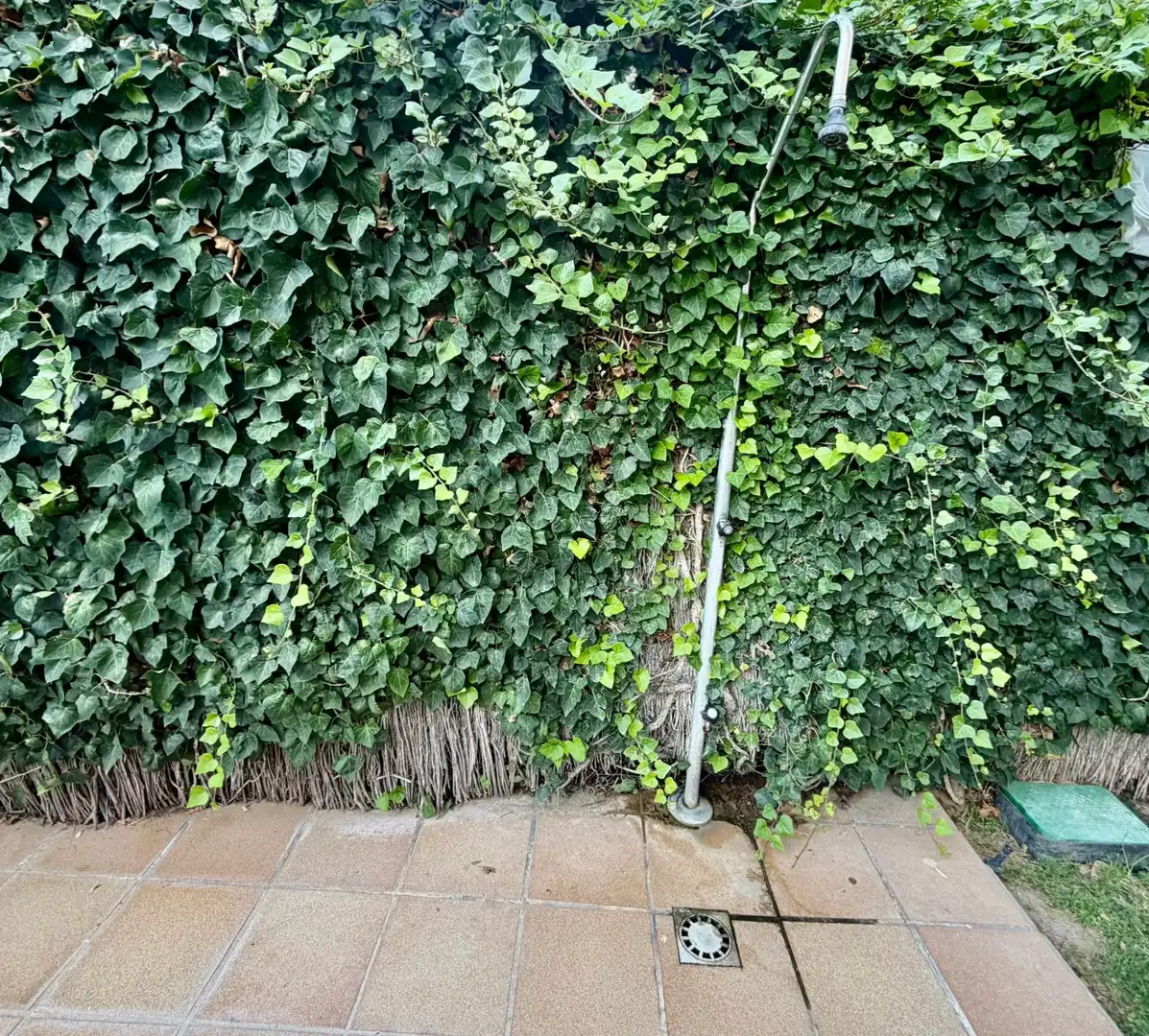 Piso con piscina en venta en MEDITERRANI, imagen 31