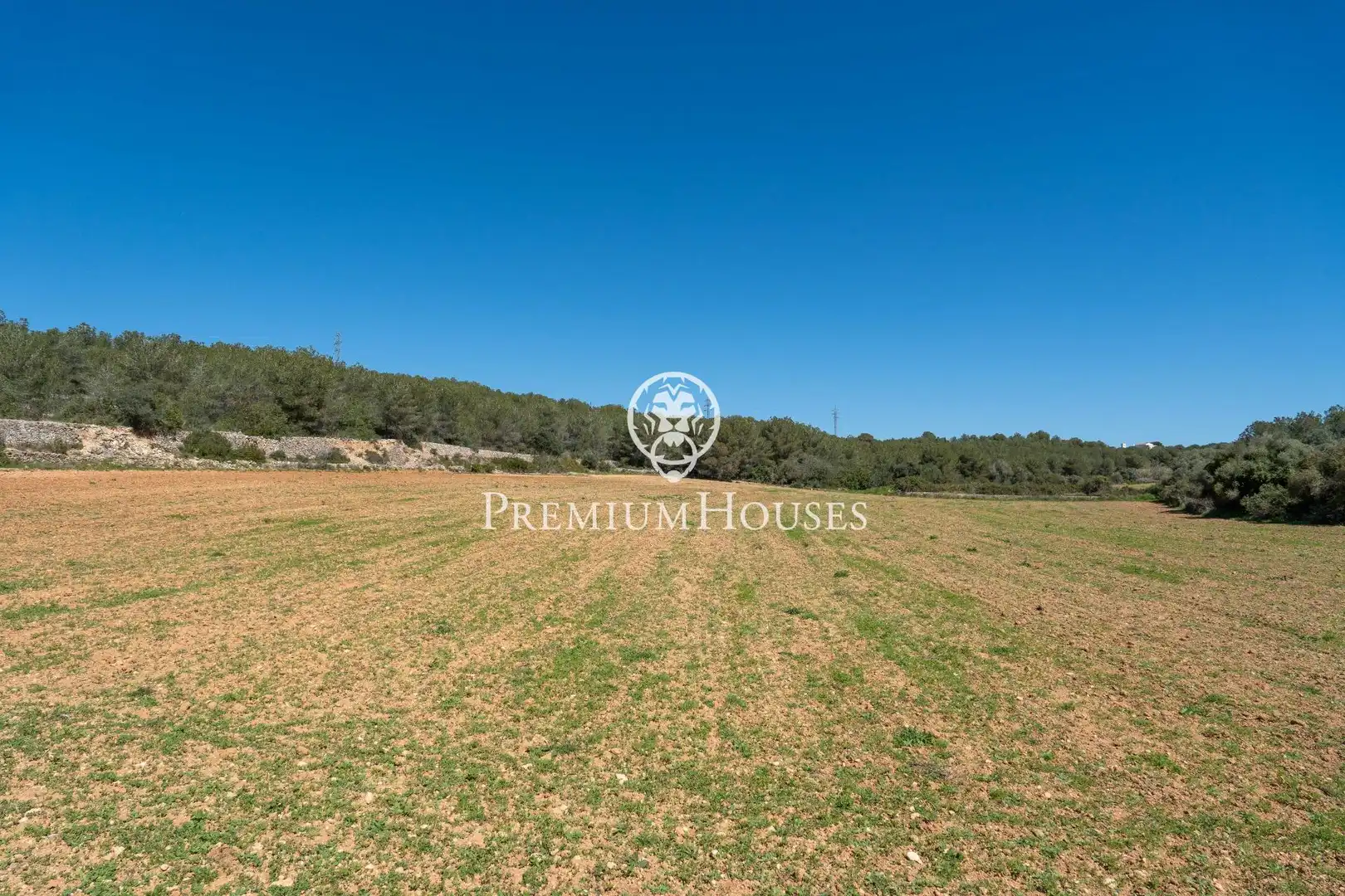 Casa rústica con jardín en venta en Nord, imagen 4