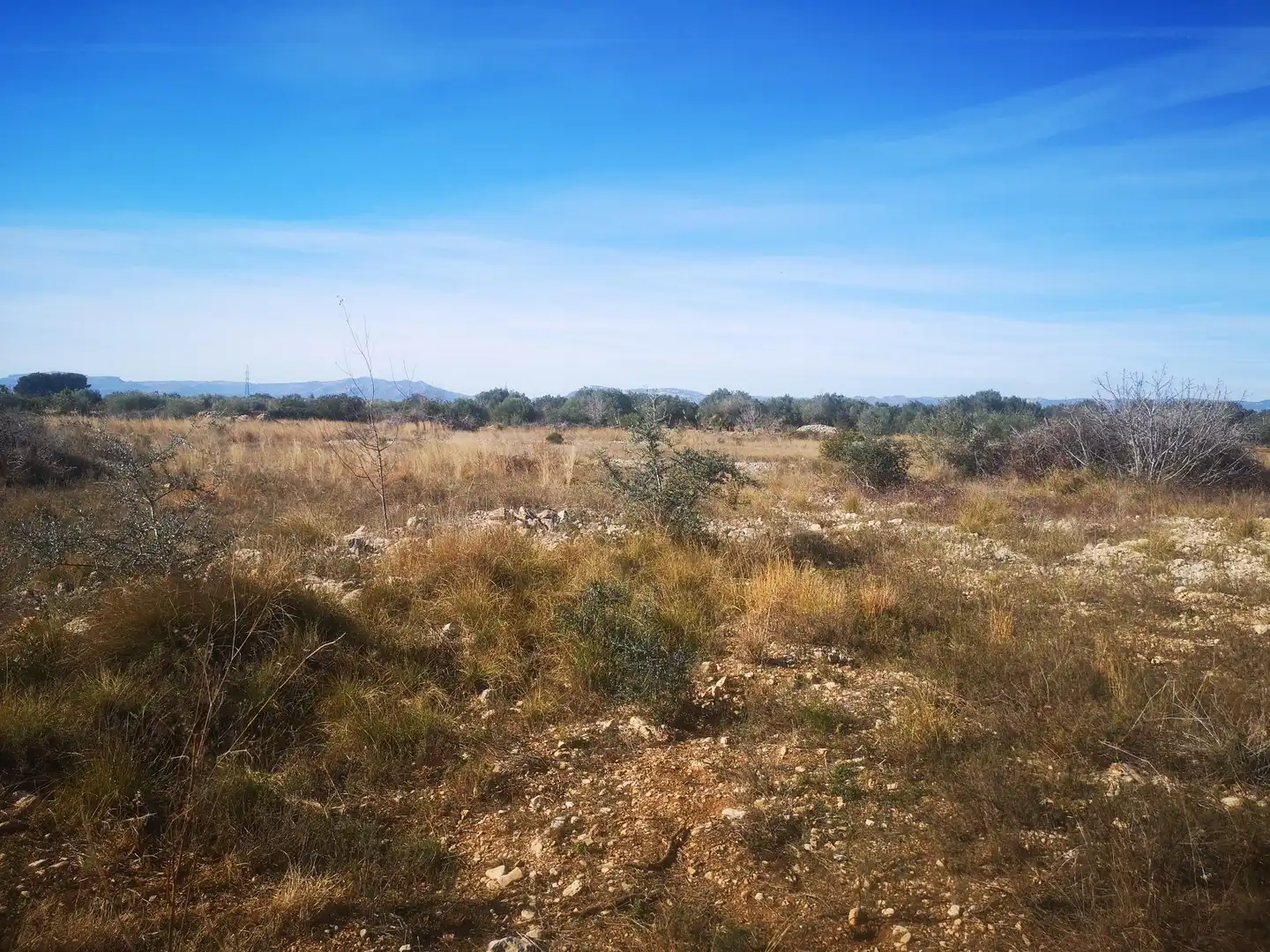 Terreno rustico in vendita a Traiguera, imagen 10