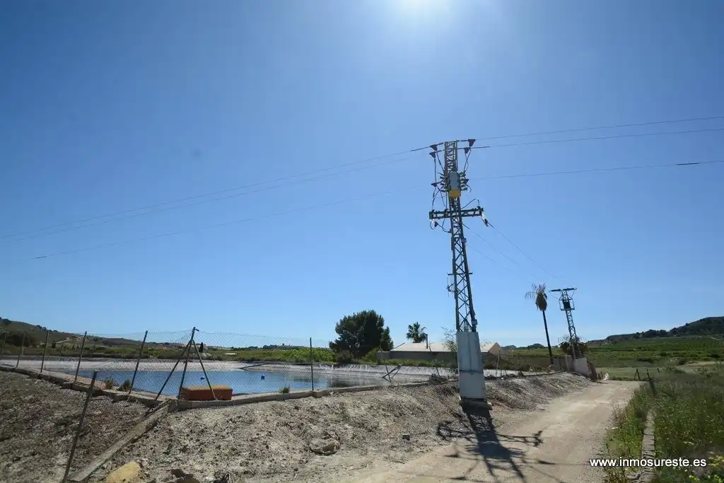 Terrenos y solares en venta en Jacarilla, imagen 8