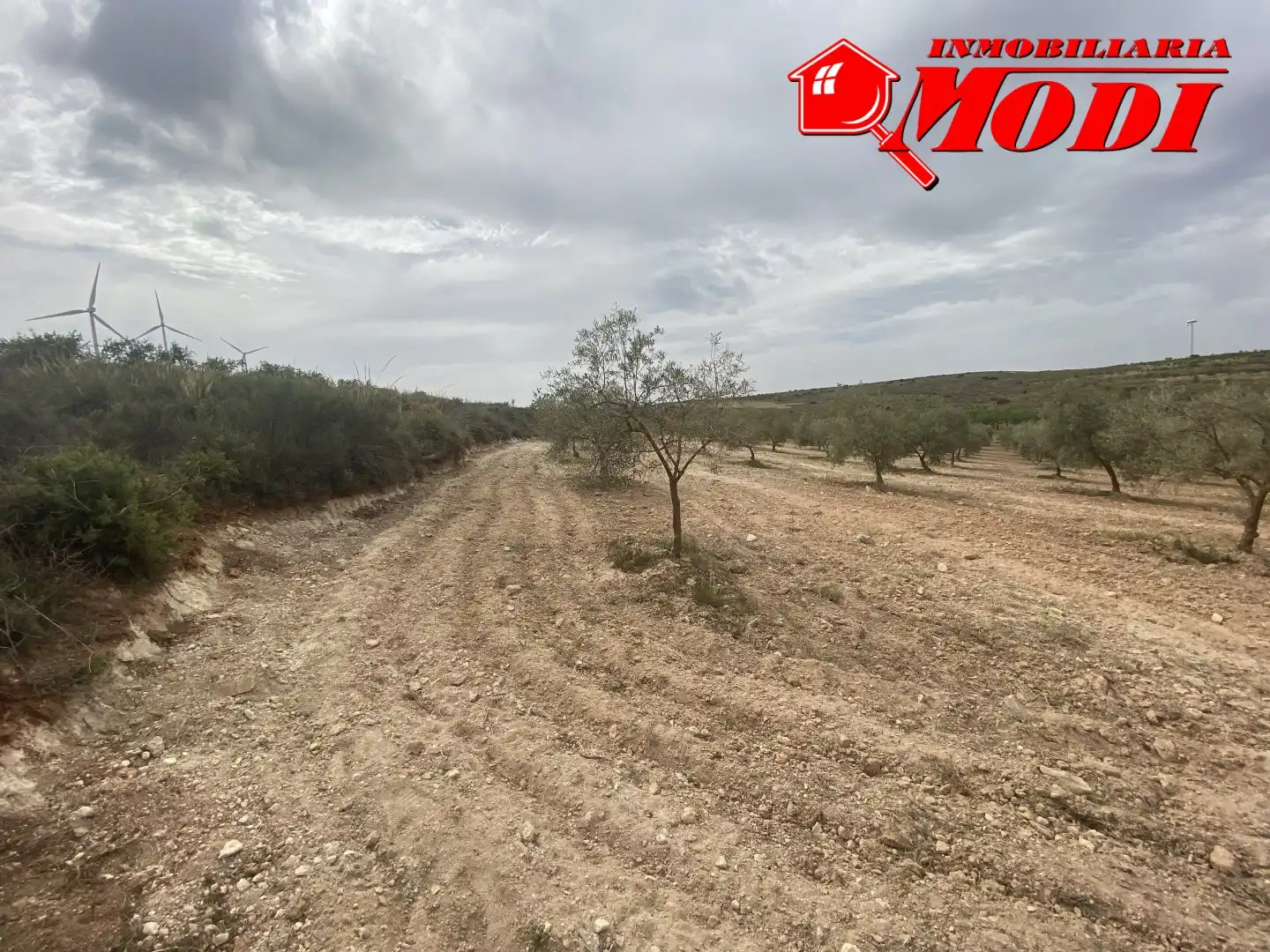 Terrenys i solars en venda a Padul, imagen 8