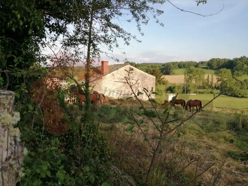Maison à vendre à Sarria, imagen 6
