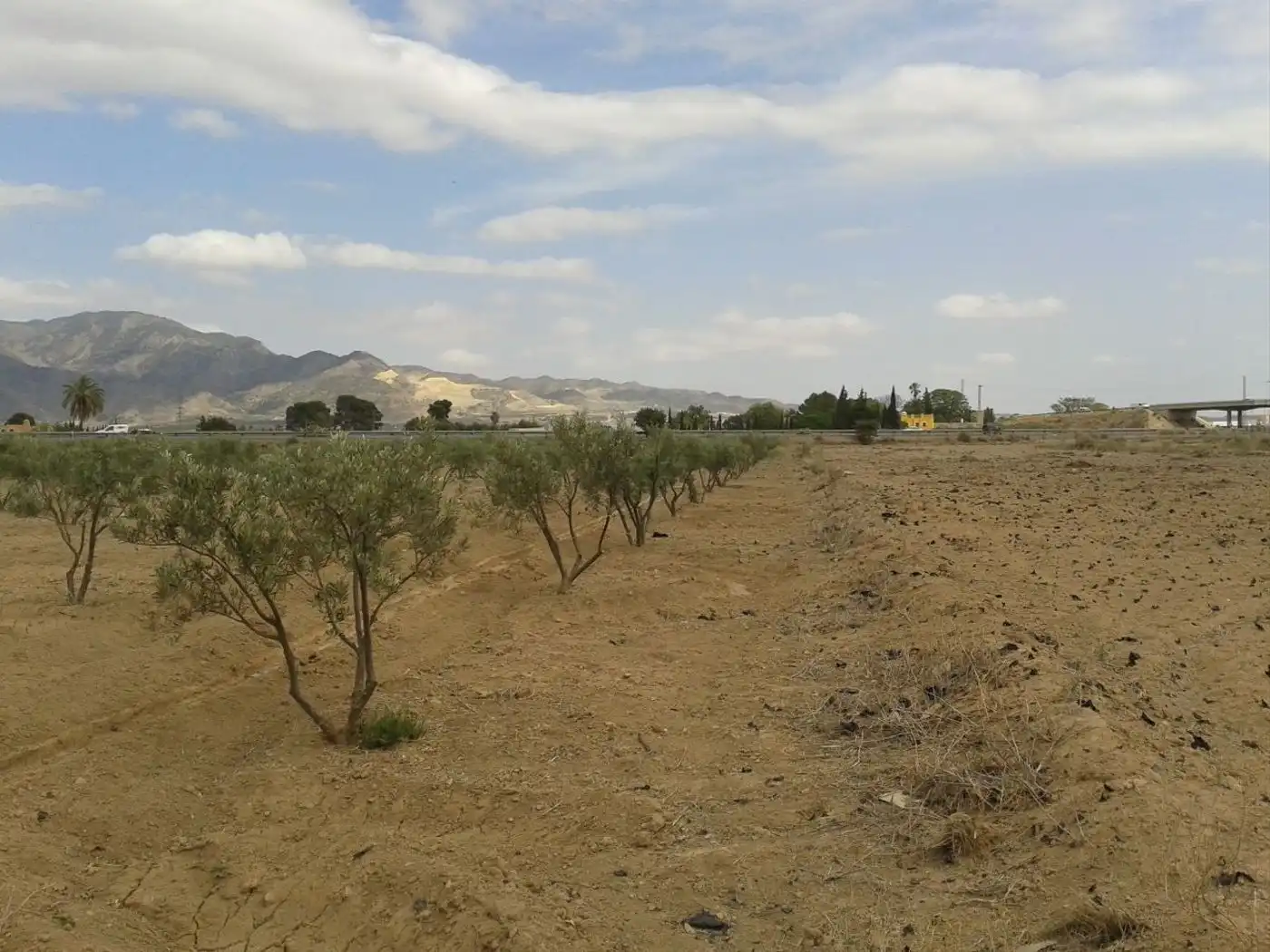 Industrial land for sale in Alhama de Murcia