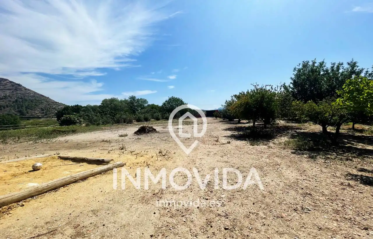 Villa con giardino in vendita a Avinguda de Barxeta 25, imagen 15