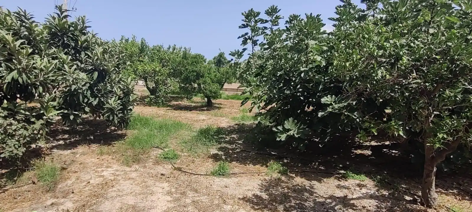 Finca rústica en venta en Benidorm con Jardín privado y Amueblado