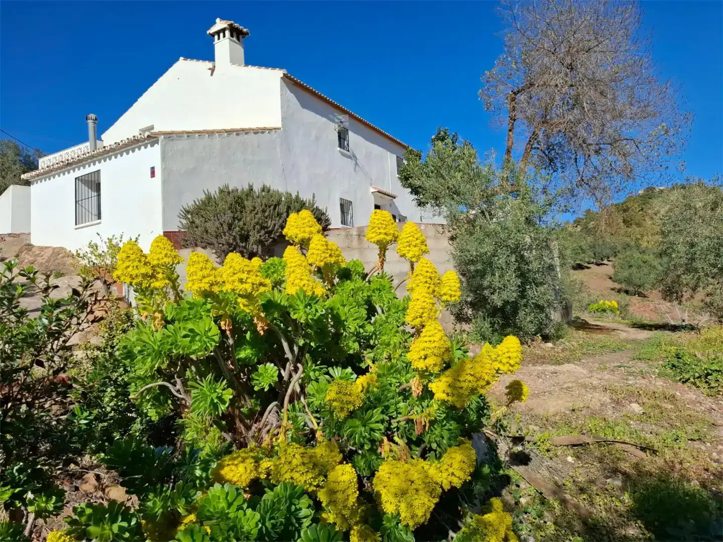 Jardí de Finca rústica en venda en Almogía