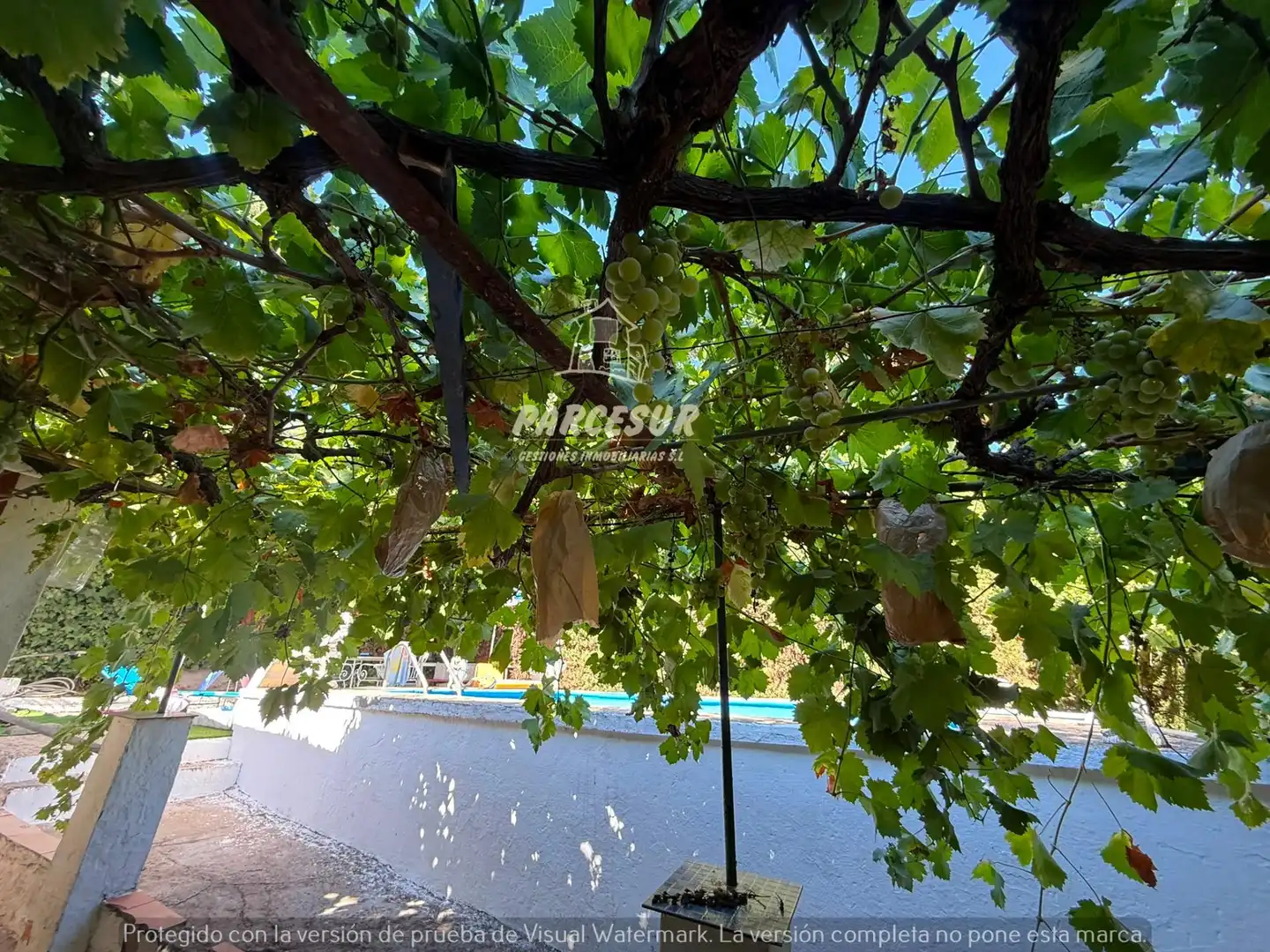Jardí de Casa o xalet en venda en Córdoba amb Traster i Piscina