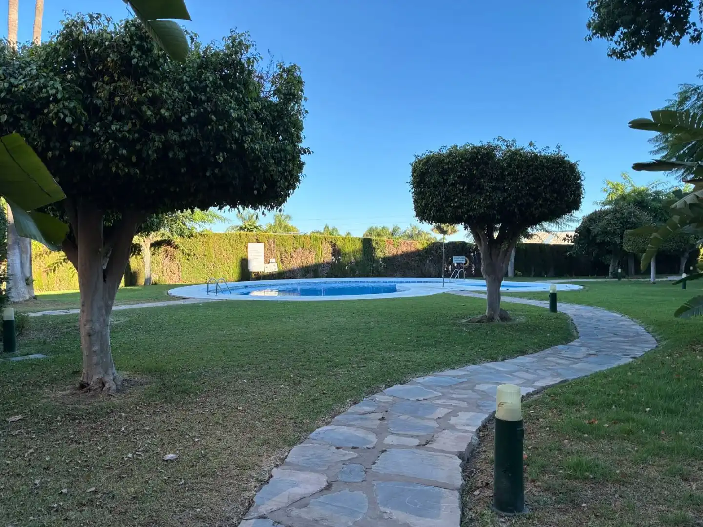 Swimming pool of Apartments for sale in Estepona  with Terrace