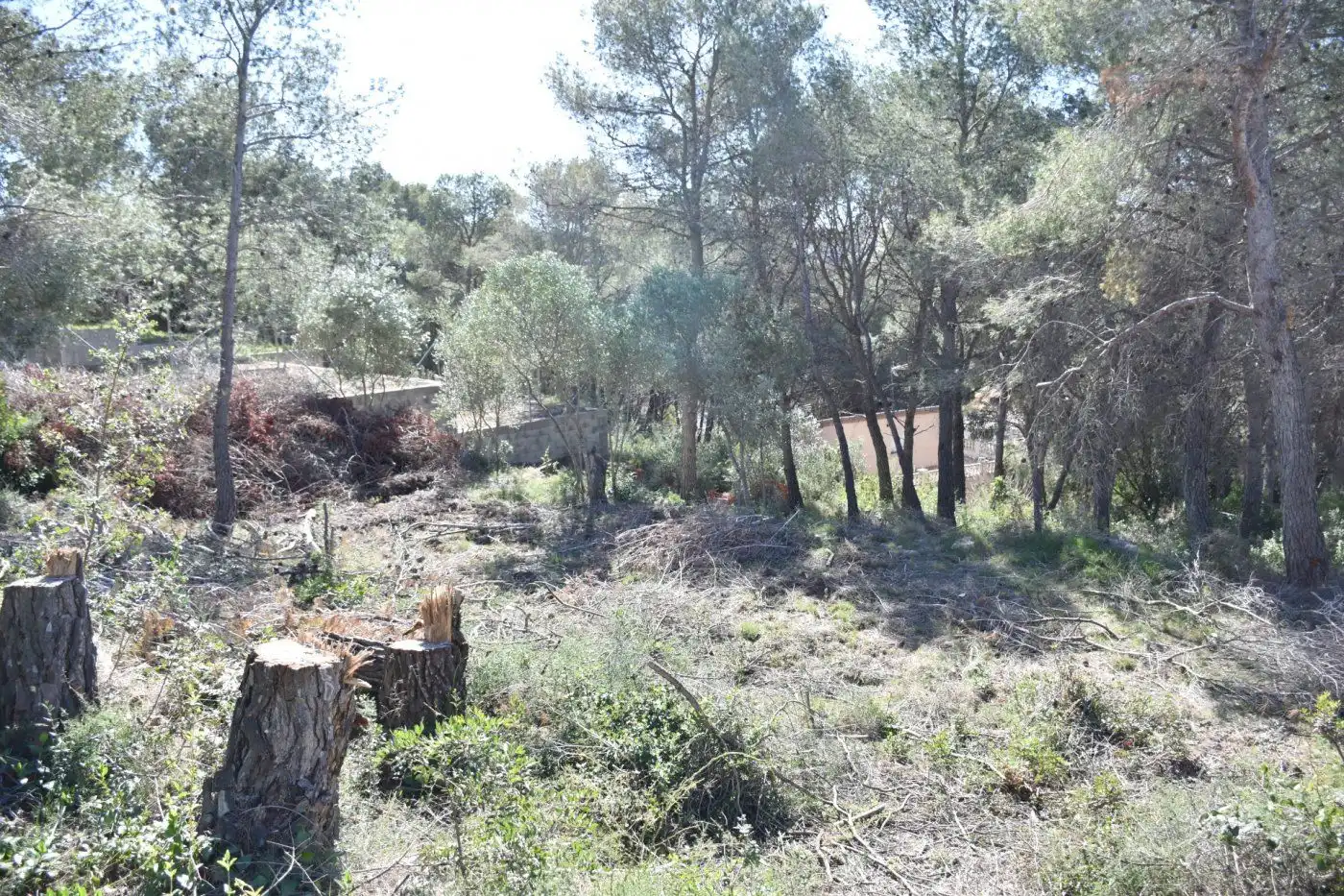Terreno residencial en venta en Bellvei, imagen 6