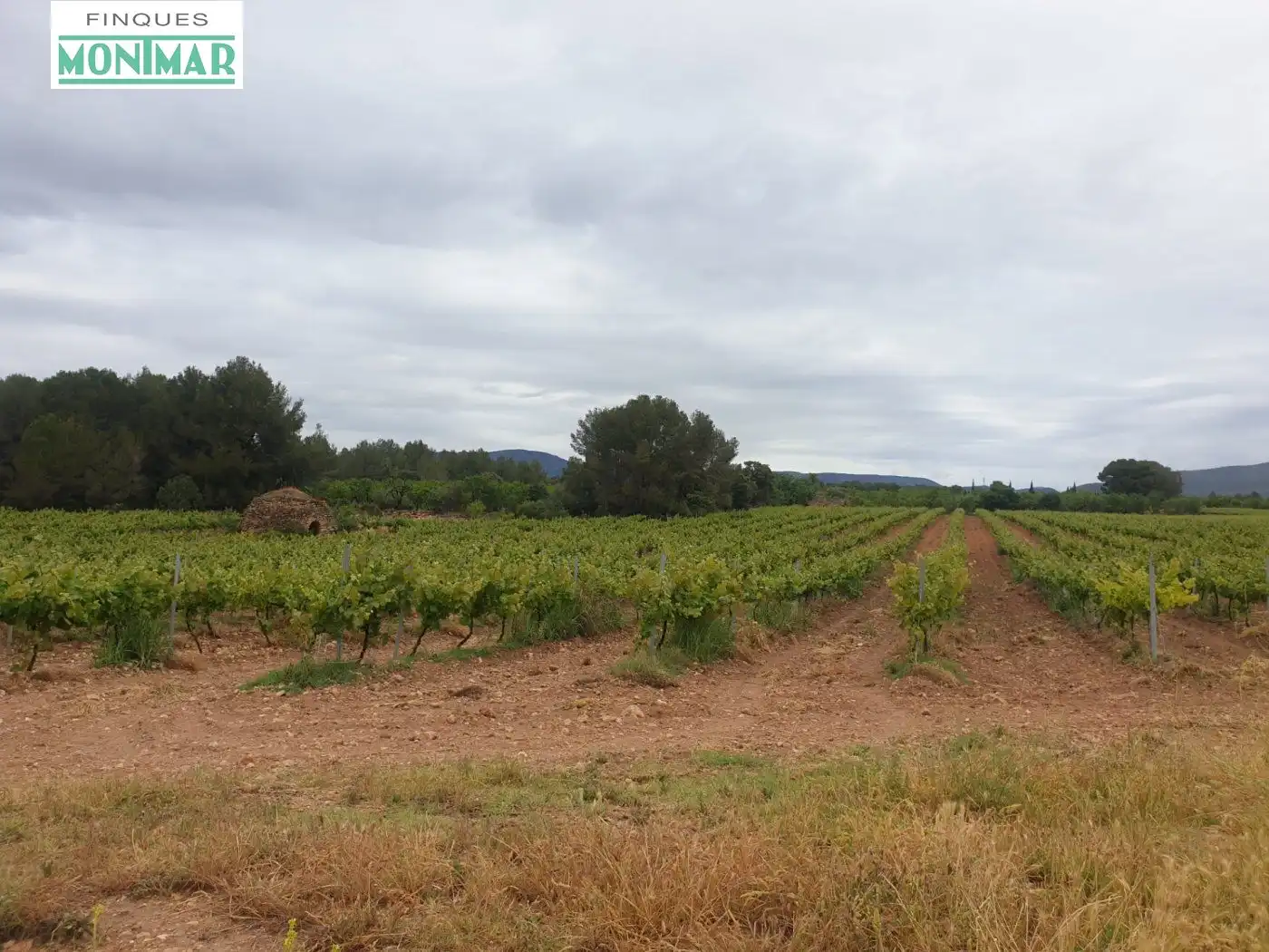 Finca rústica en venda en El Pla de Santa Maria