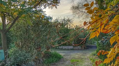 Foto 4 de Casa o xalet en venda a Pozuelo de Calatrava, Ciudad Real