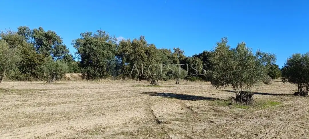 Terreno rústico en venta en Villamanta, imagen 5