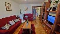 Living room of Flat for sale in Pontevedra Capital 