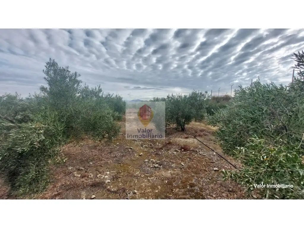 Casa o chalet en venta en Murcia