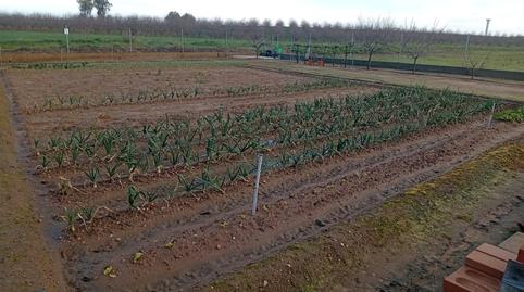 Foto 5 de Casa o xalet en venda a Mengabril, Badajoz