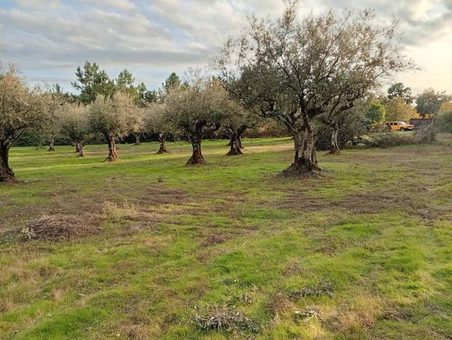 Terreno en Venta en Villanueva de la Vera
