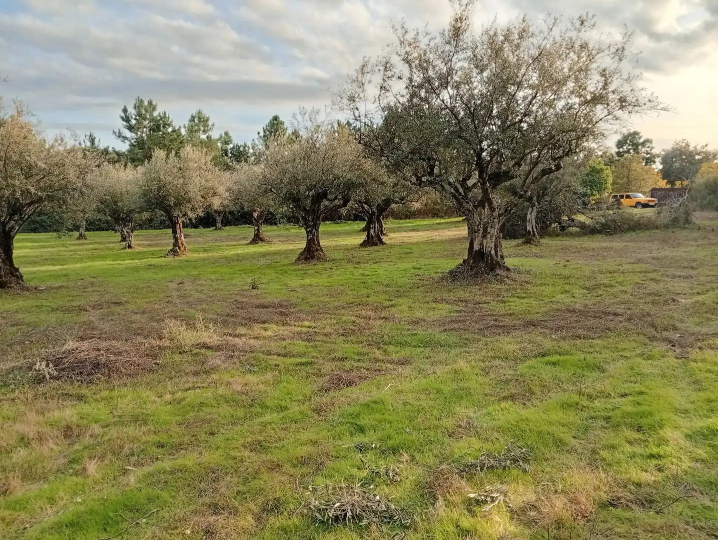 Terreni e lotti in vendita a Villanueva de la Vera