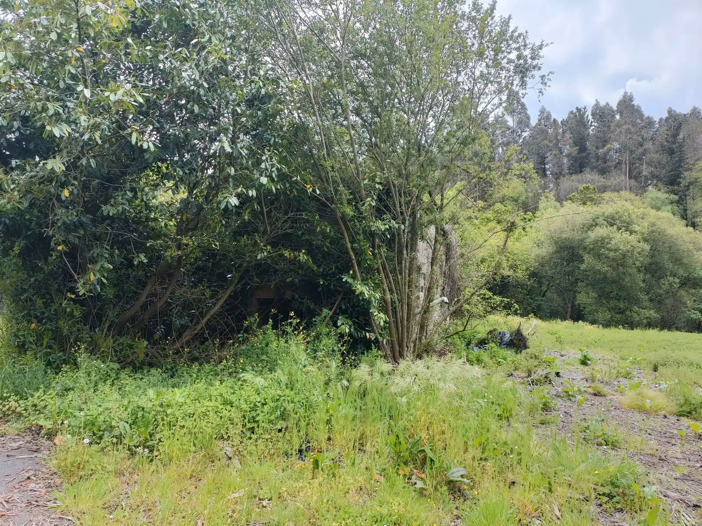 Casa o xalet en venda en Aranga amb Jardí privat i Traster