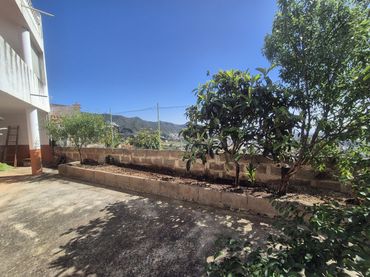 Casa amb jardí en venda a C. Pepito Rosa