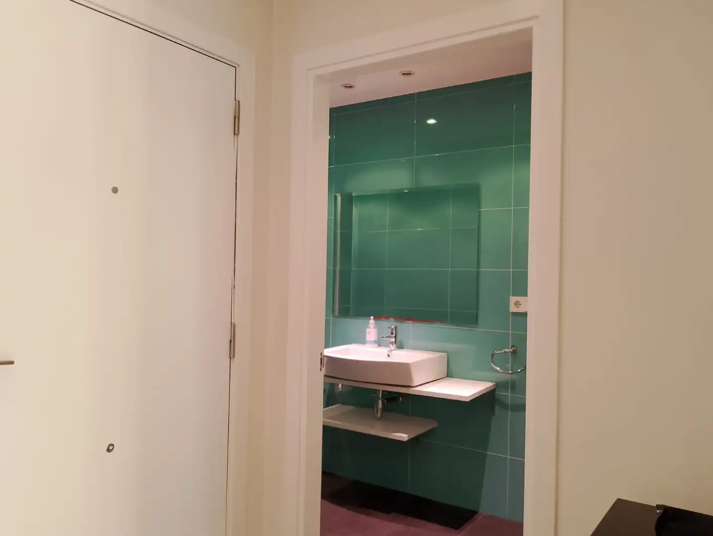 Appartamento con terrazza in affitto a Donostia-San Sebastián - Calle Zabaleta 37, imagen 29