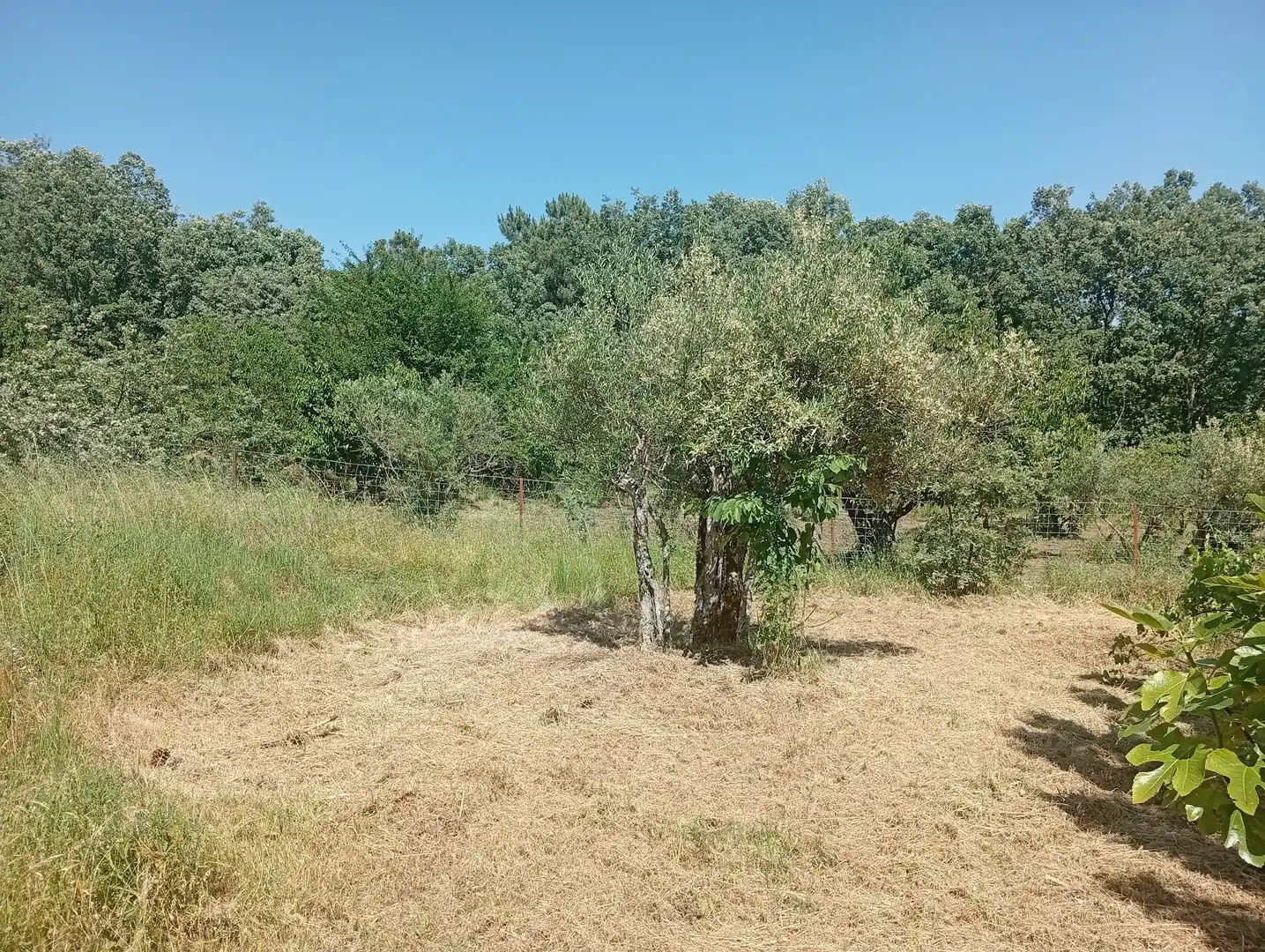 Terreni e lotti in vendita a Villanueva de la Vera, imagen 40