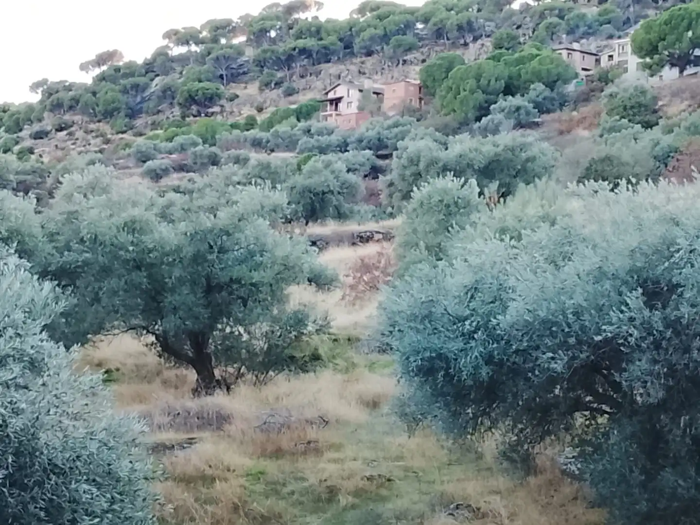 Terreni e lotti in vendita a El Hoyo de Pinares, imagen 10