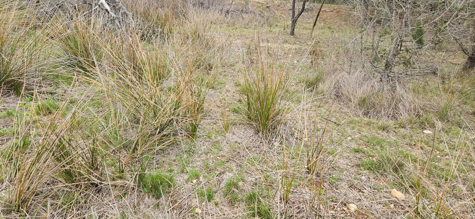 Terreno en venta en Las Parras de Castellote
