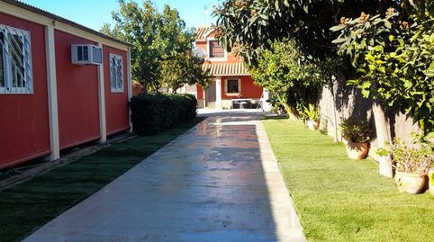 Foto 5 de Casa o chalet de alquiler en Pago Copina, 35, Chipiona Norte, Chipiona