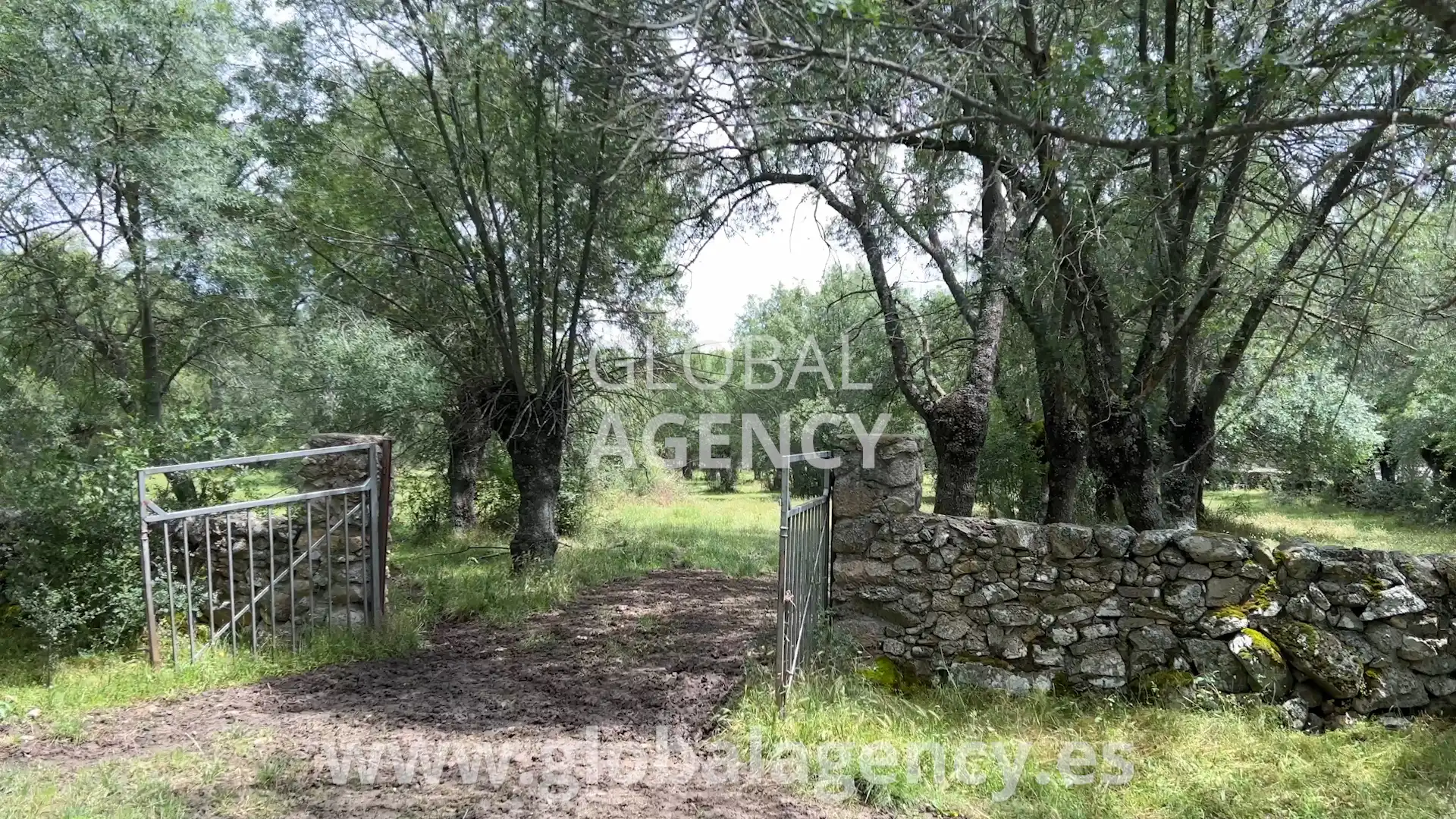 Rural land for sale in Soto del Real, imagen 15